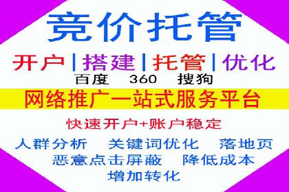 百度竞价广告案例分析：成功之道揭秘
